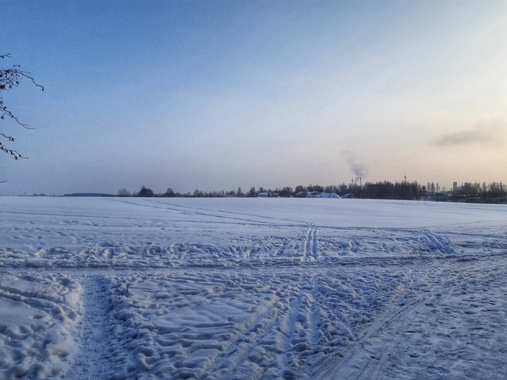 Winter