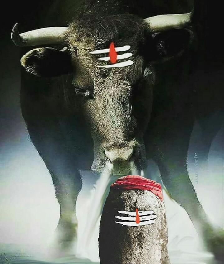 Om Namah Shivay