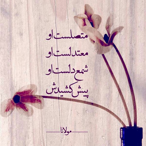 خلفيات line, wing