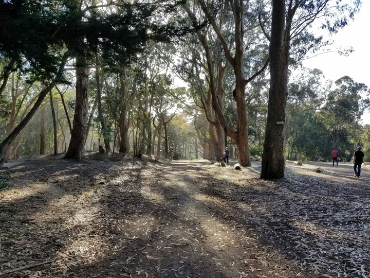 park