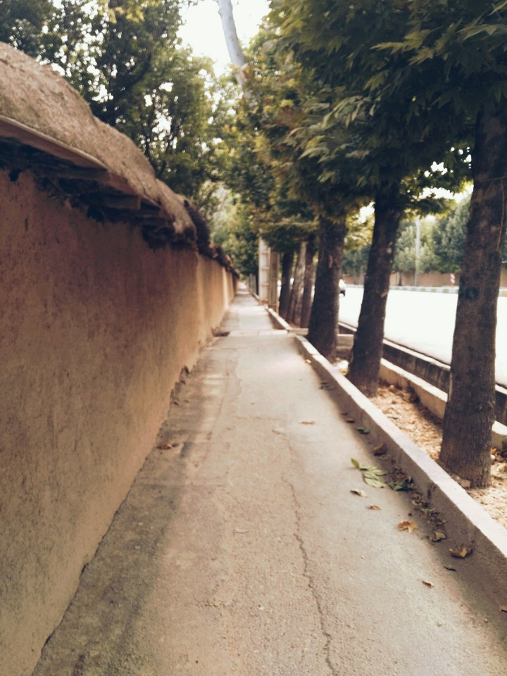 sidewalk