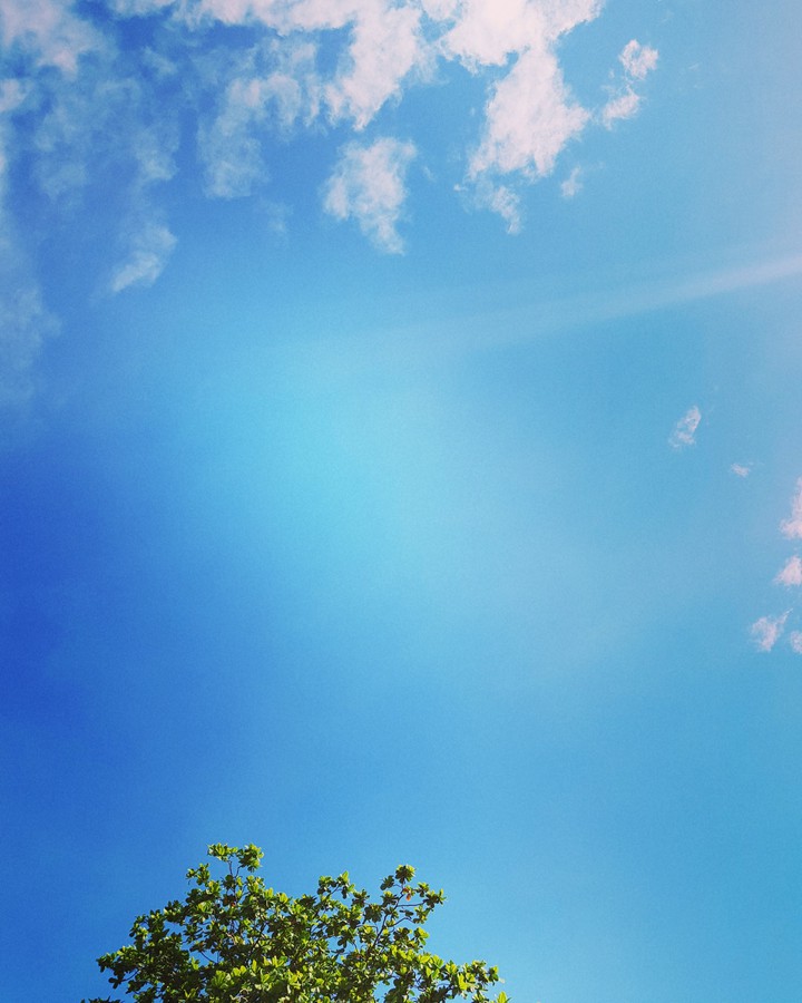 A good day