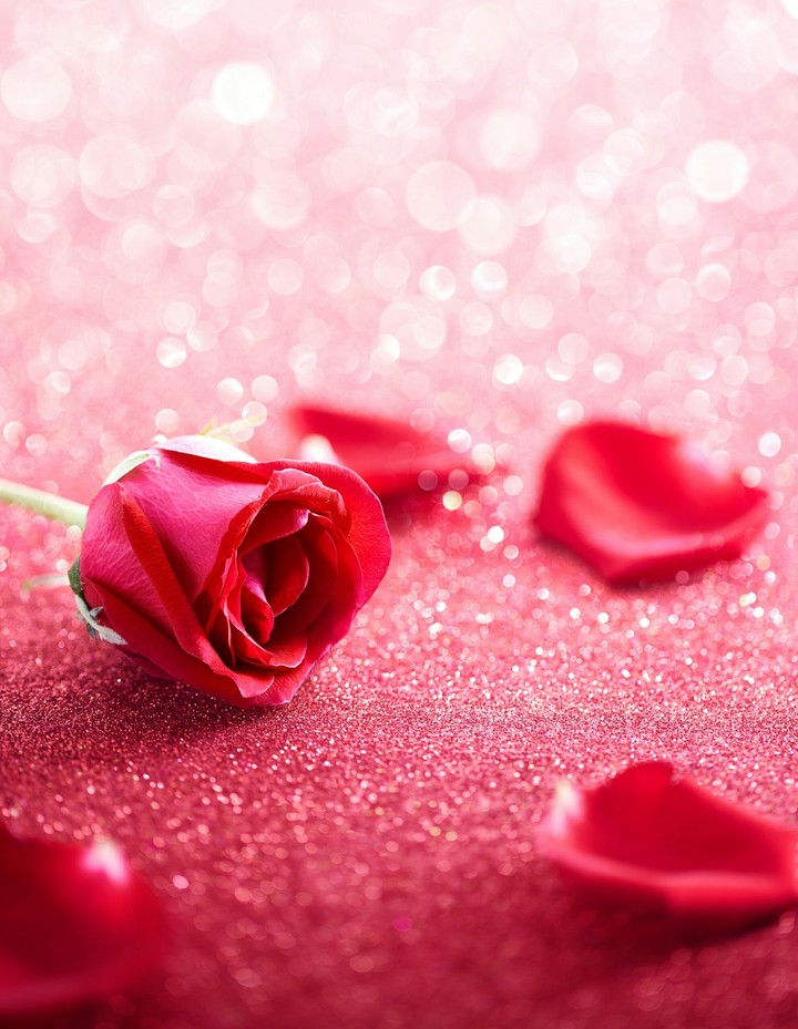 sooooo nice