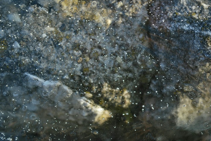 ice