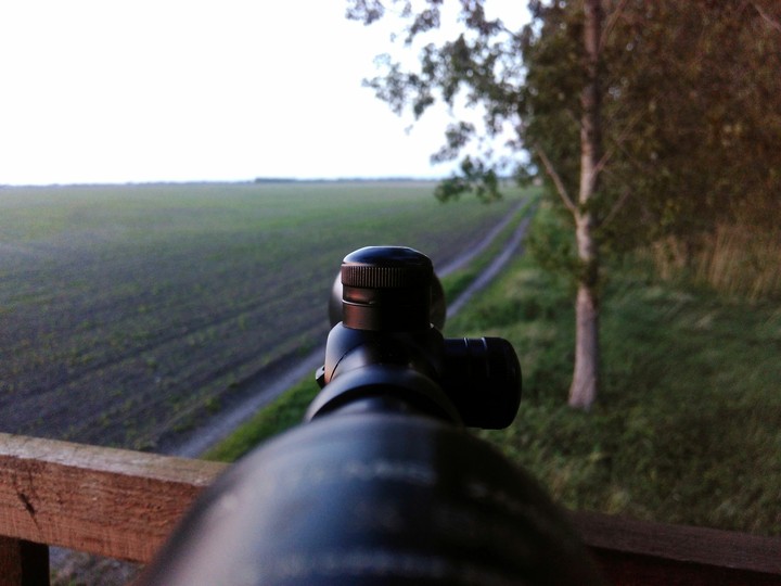 Hunting
