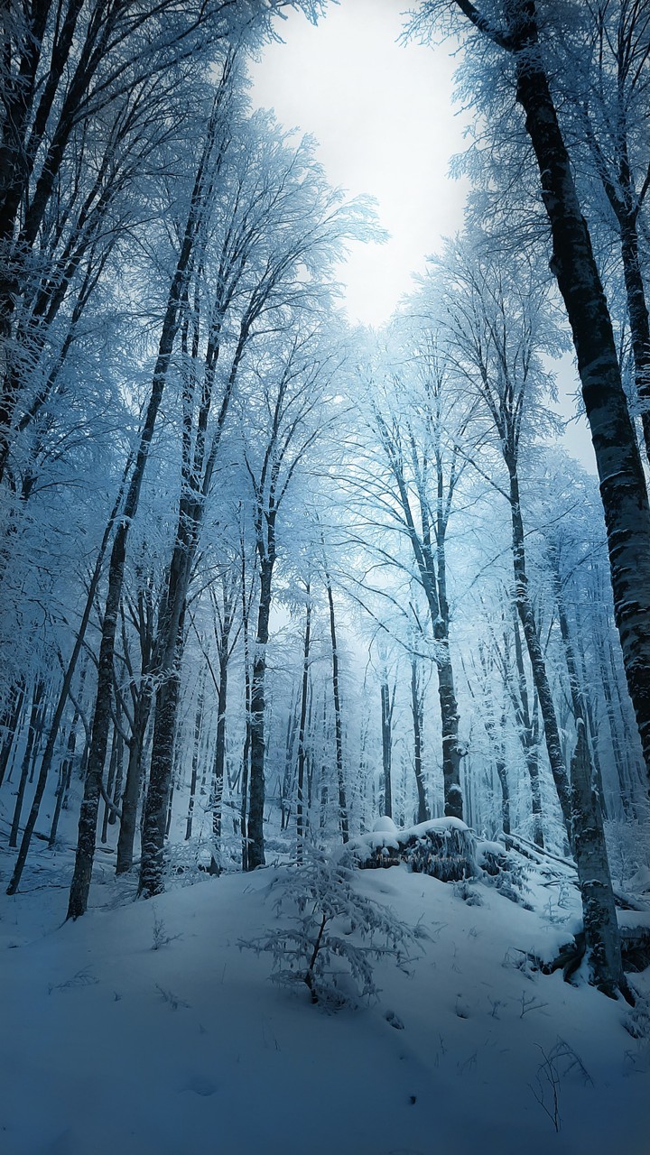Snowy