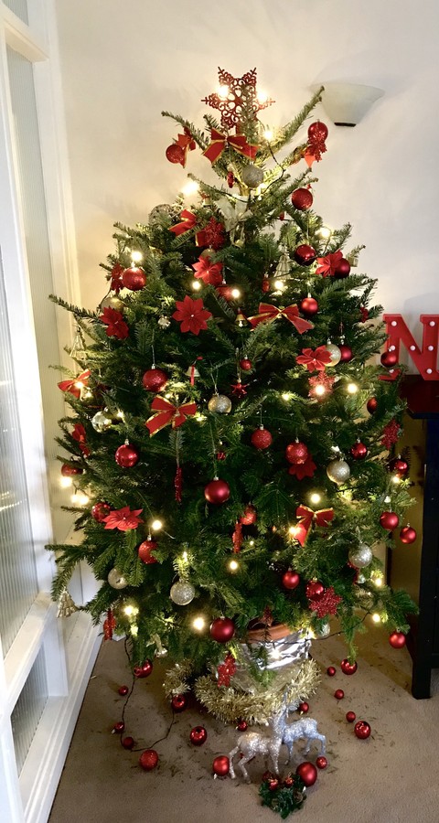 spruce, christmas Hintergrundbilder