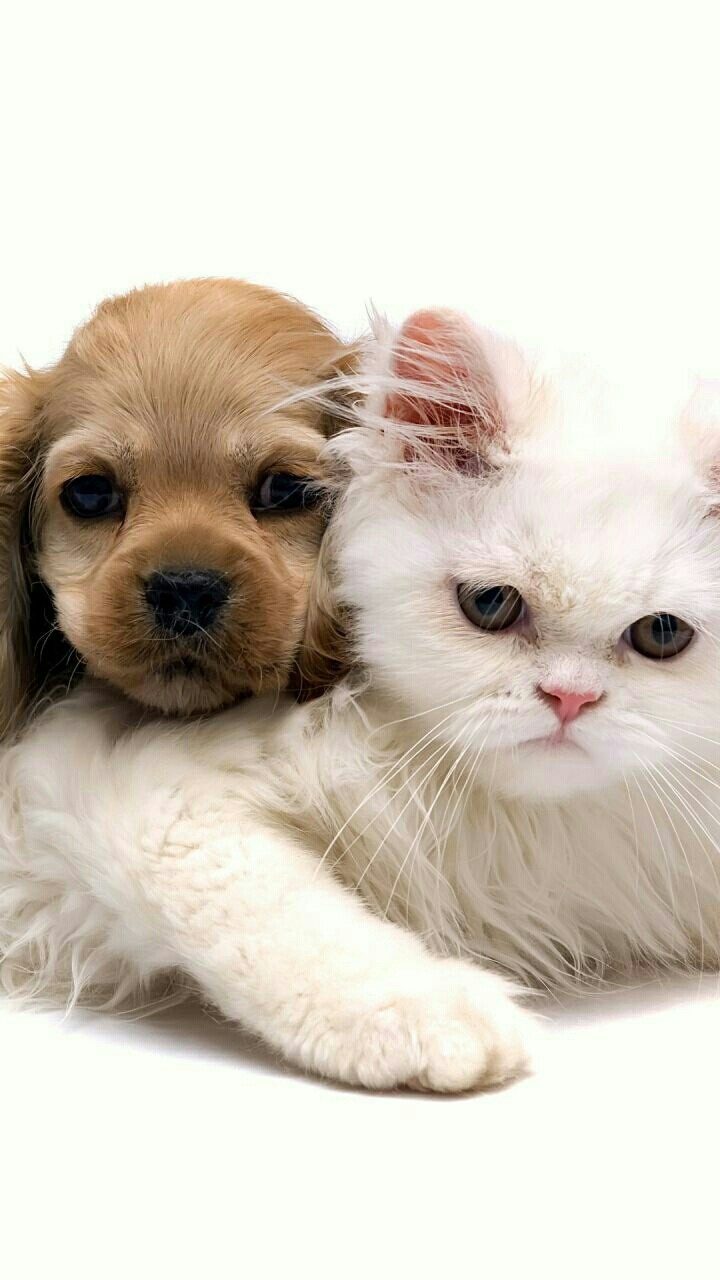 so cute