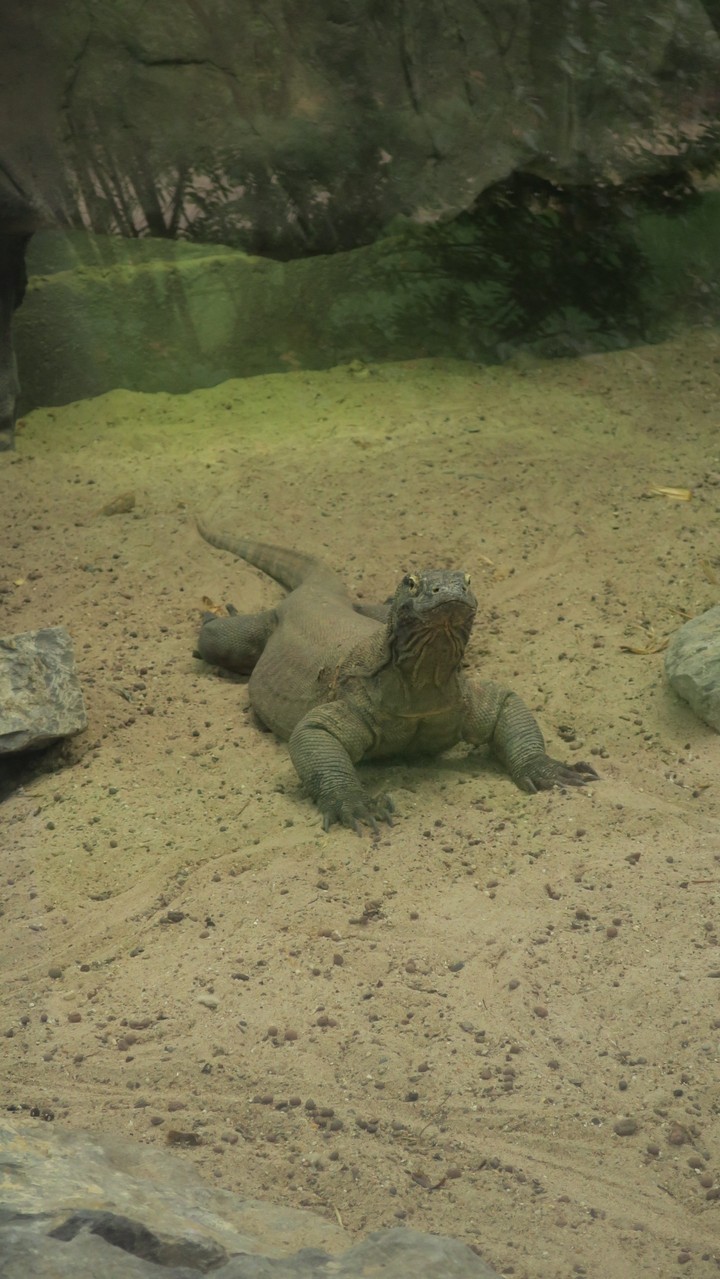 Pairi Daiza