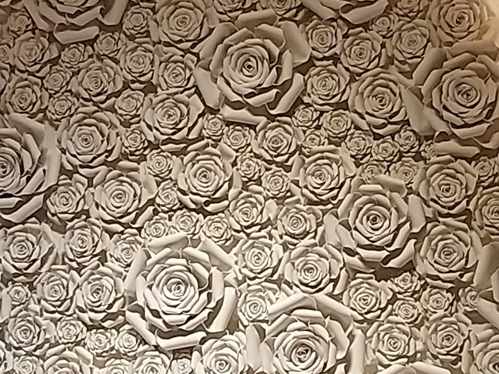 white rose