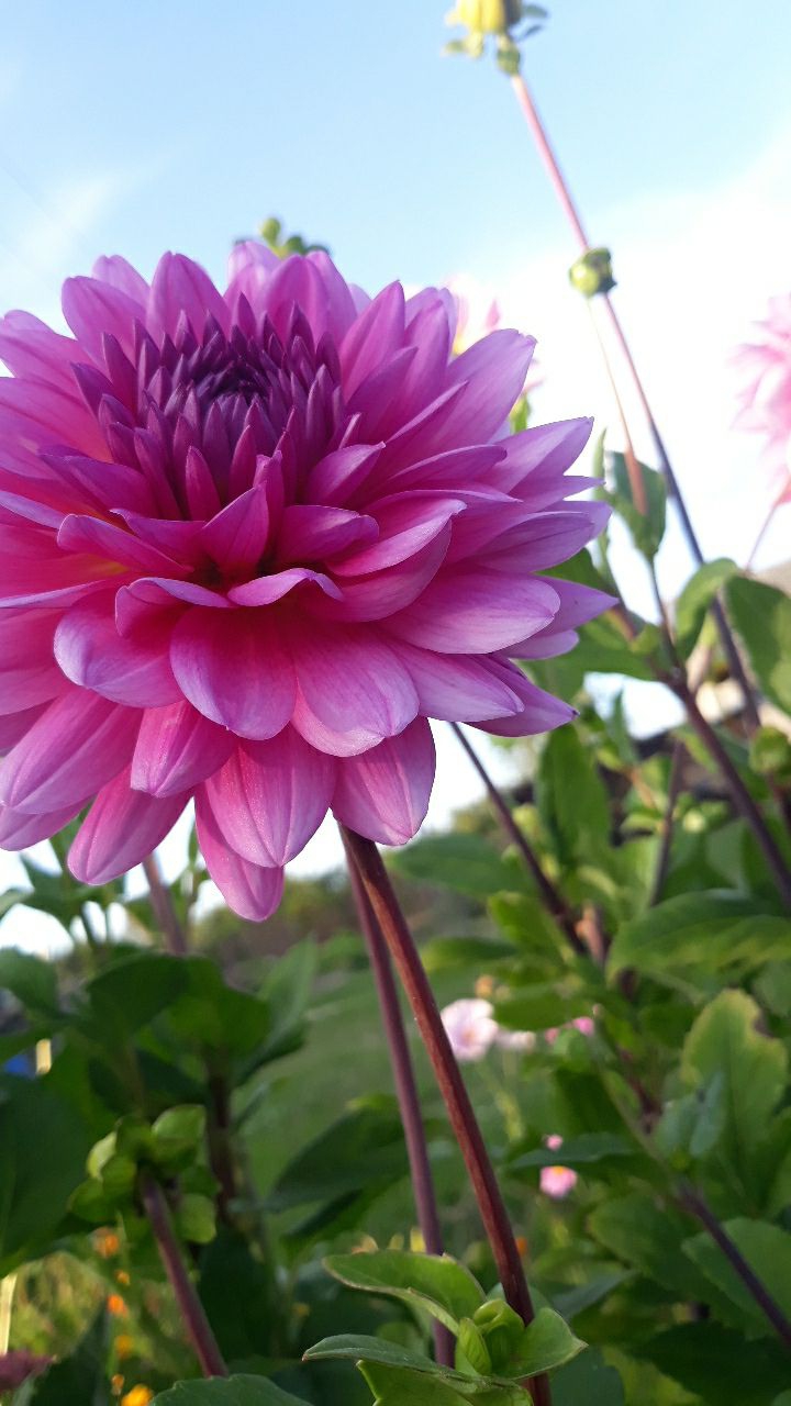 nature