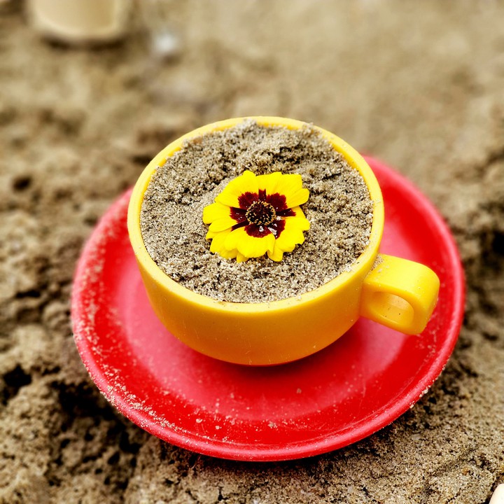 모래꽃차
