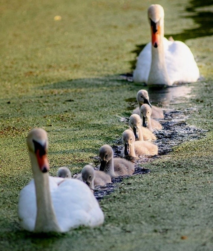 beautiful nature