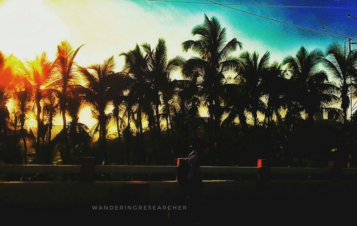 sunset