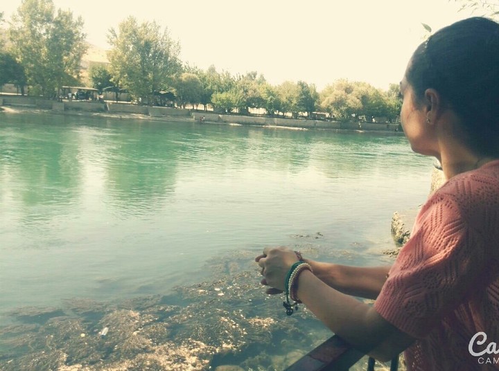 #water #family #picnic #nature #tree #beauty