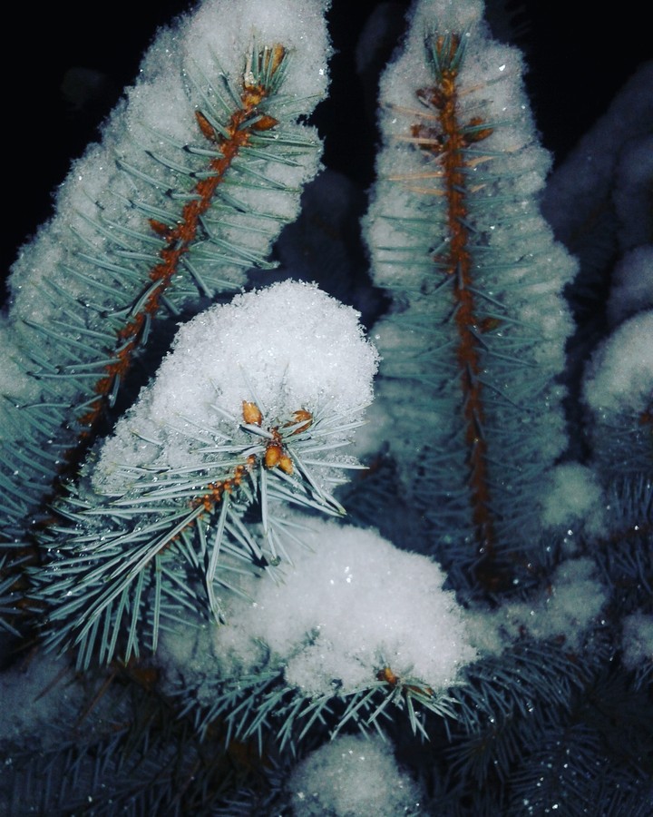 Winter