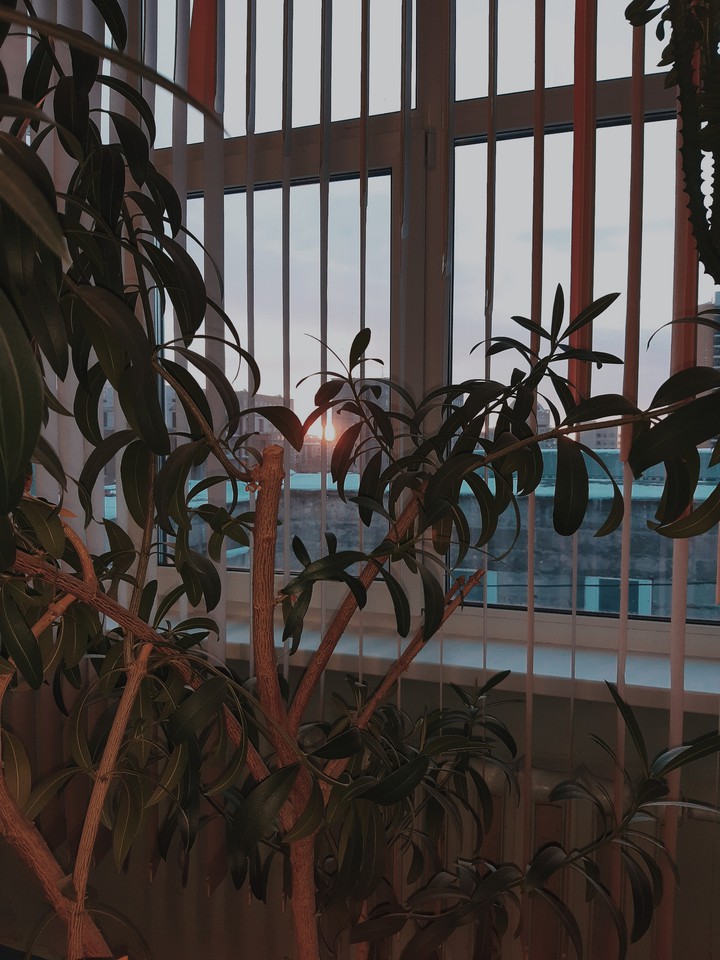 sun