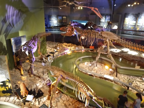 dinos