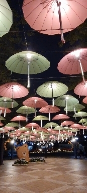 Umbrella led 우산art