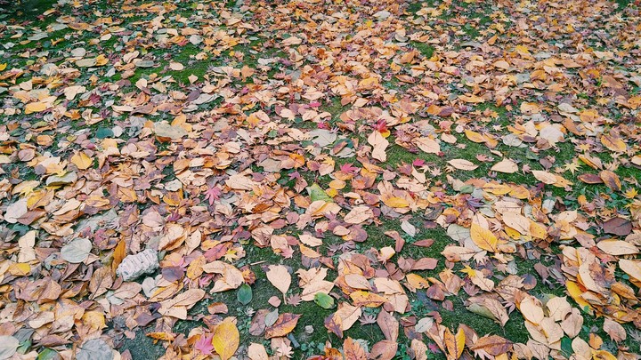 The mark Autumn left for us
