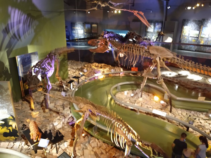 dinos
