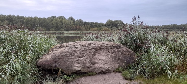 Lakeside Rock