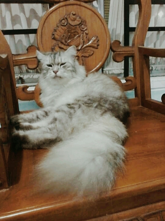 teby