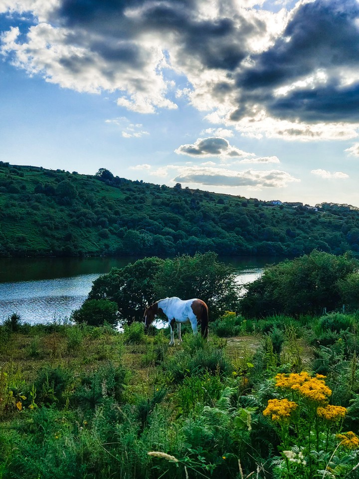Horse with clouds