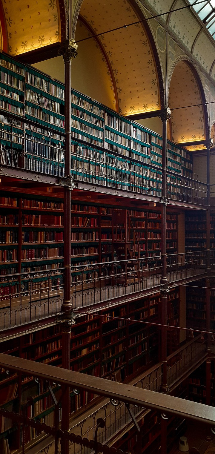 Library in Amsterdam