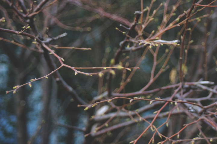 Calm spring