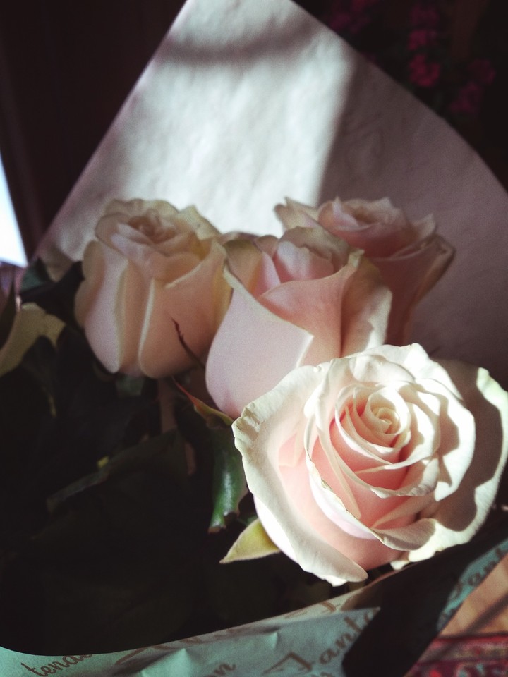 Pretty flowers