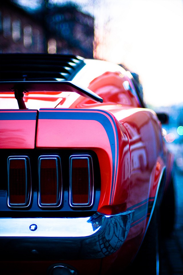 mustang