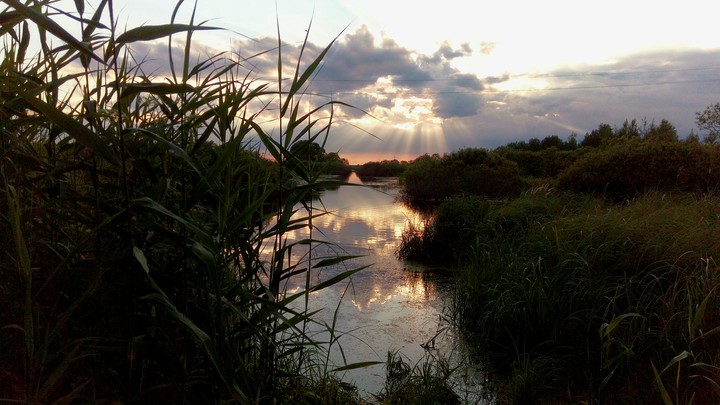 sunset
