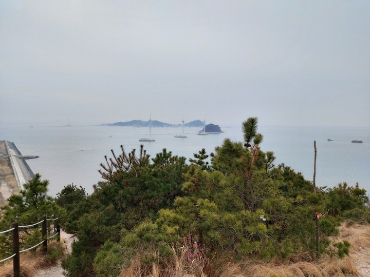 sea, island, fog