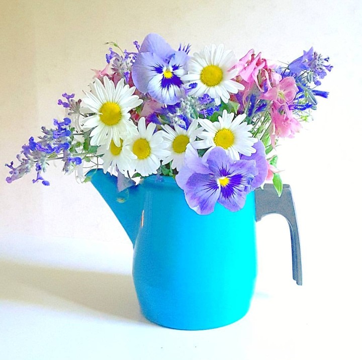 marguerite