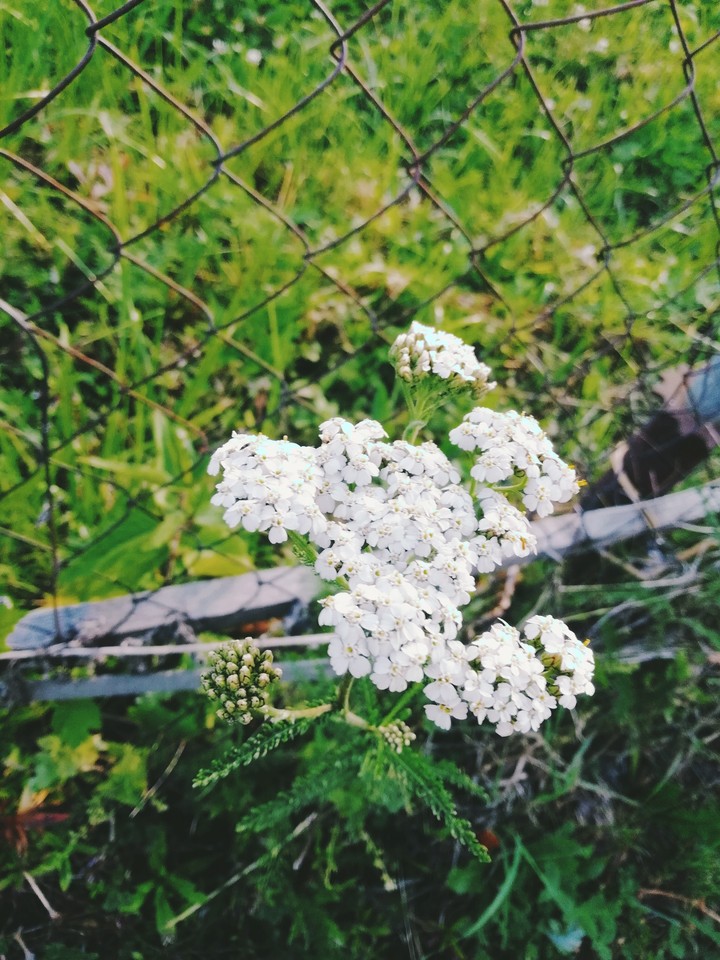 На поле