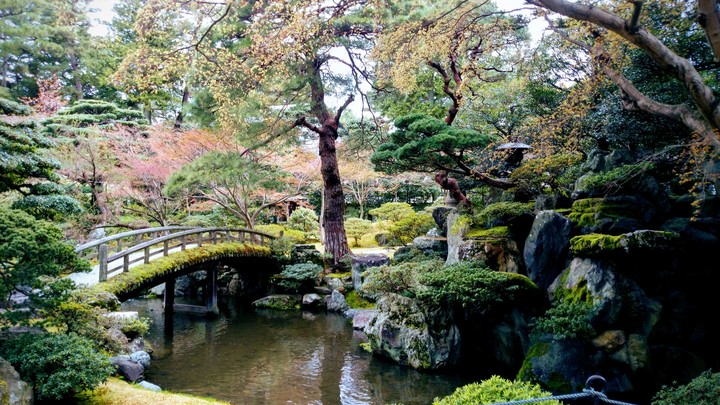 autumn garden
