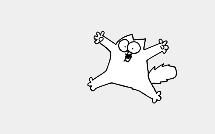 My cat
