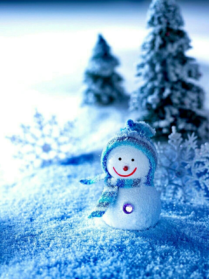 blue Christmas
