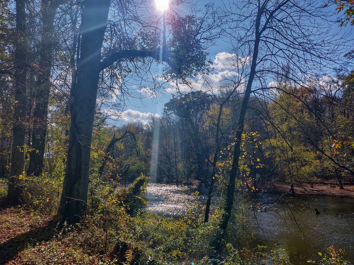 Morning Light