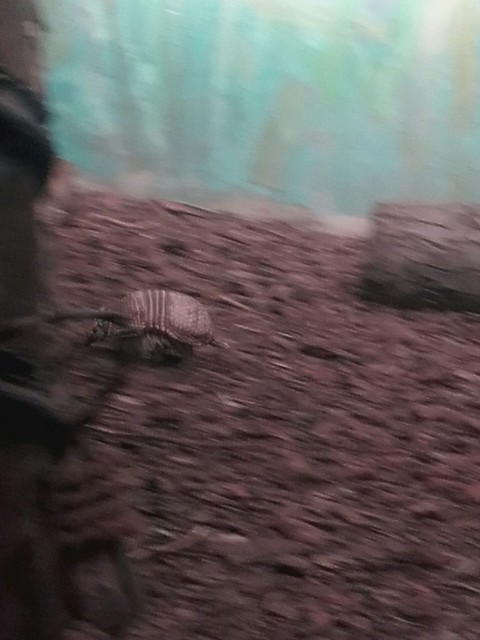 pan