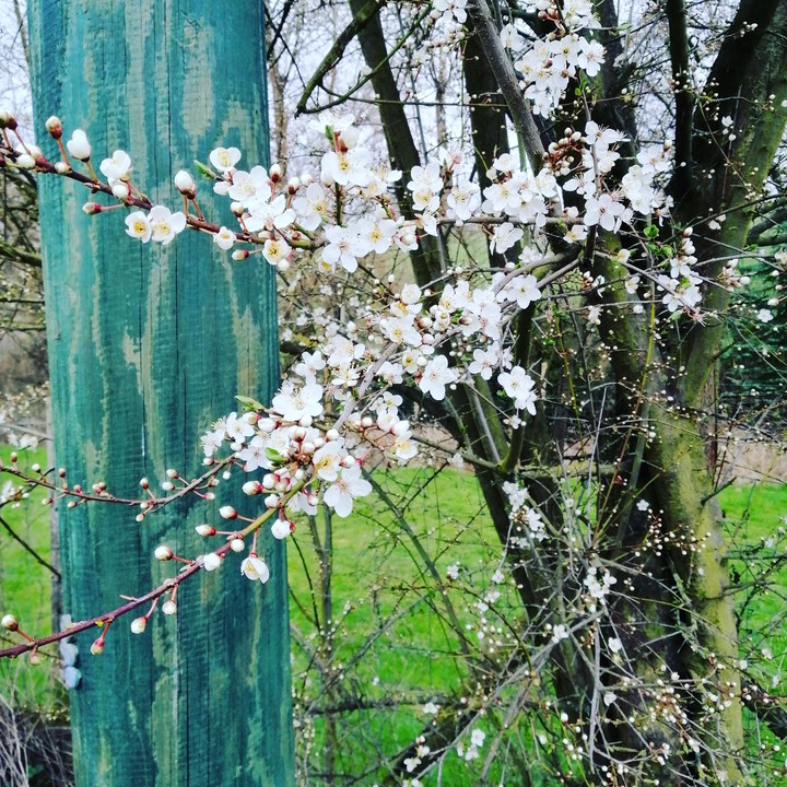 Frühling