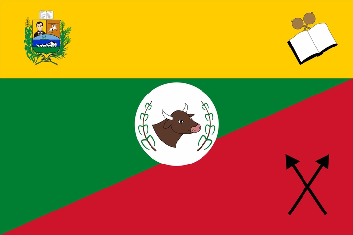 Bandera Aragua municipality Anzoategui