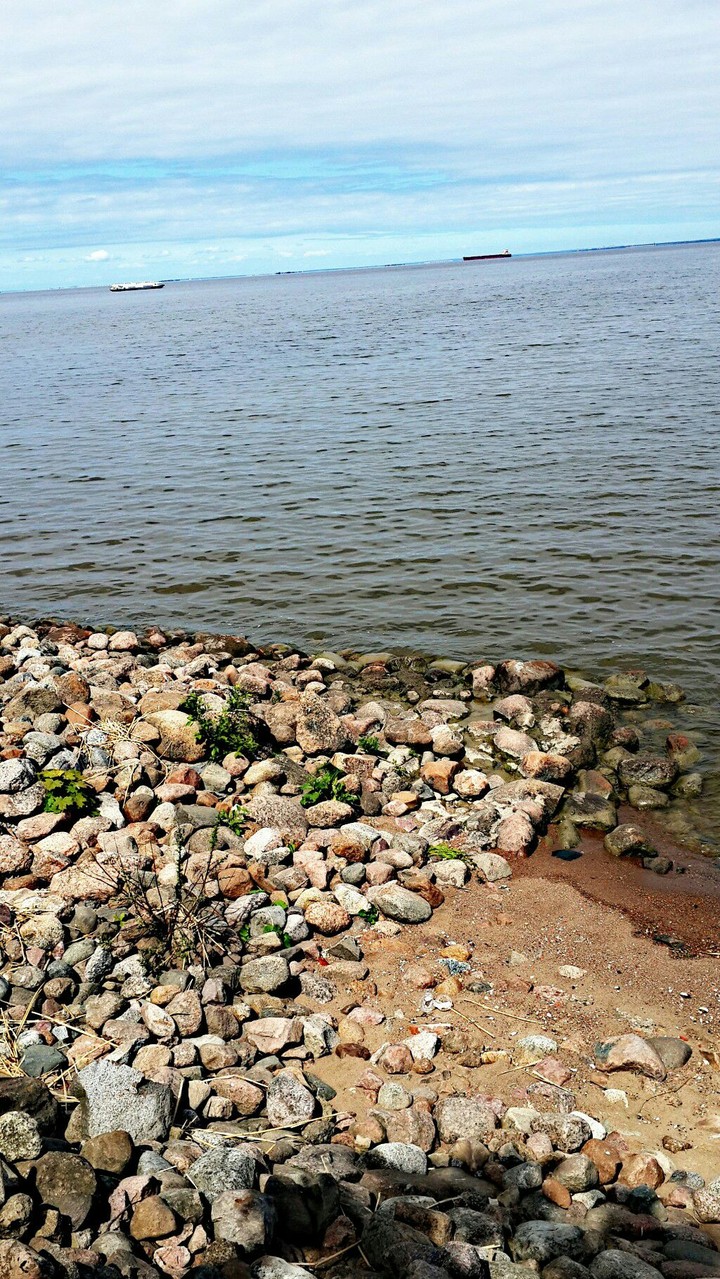 Coast