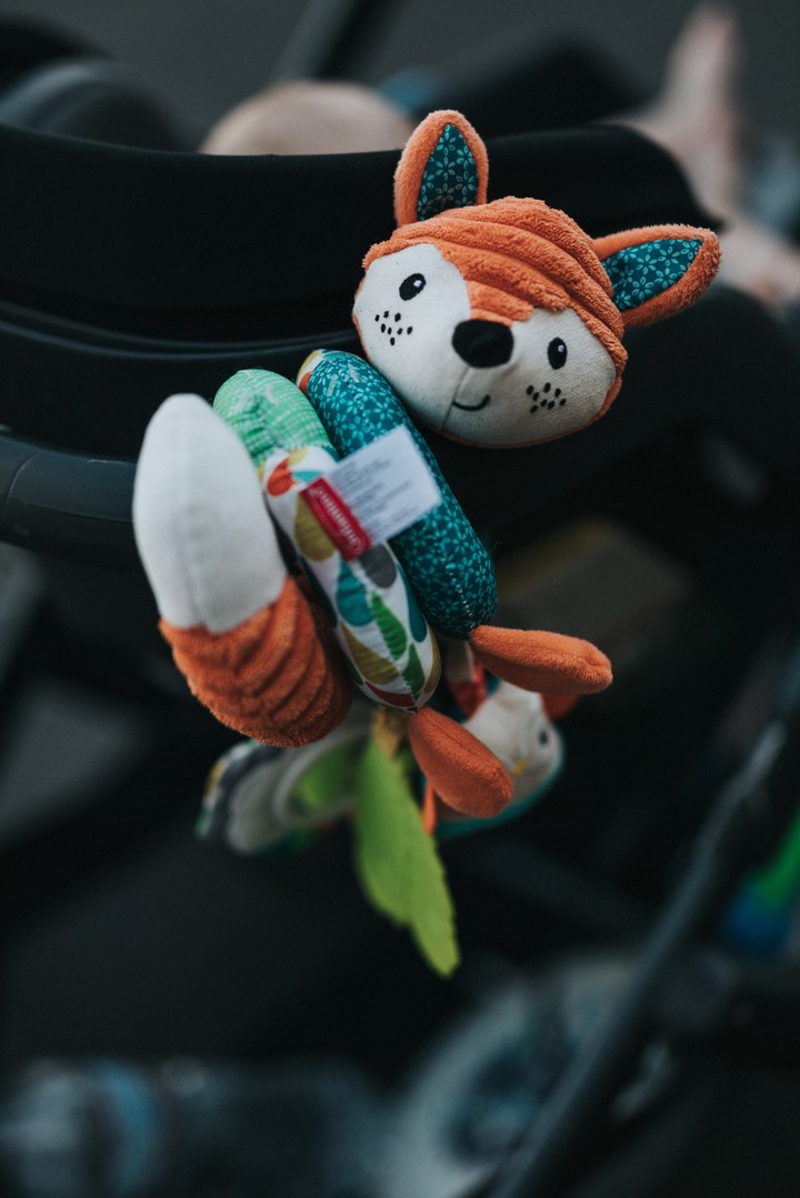 toy