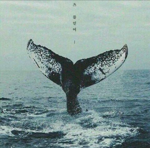 tapety whale, Fluid