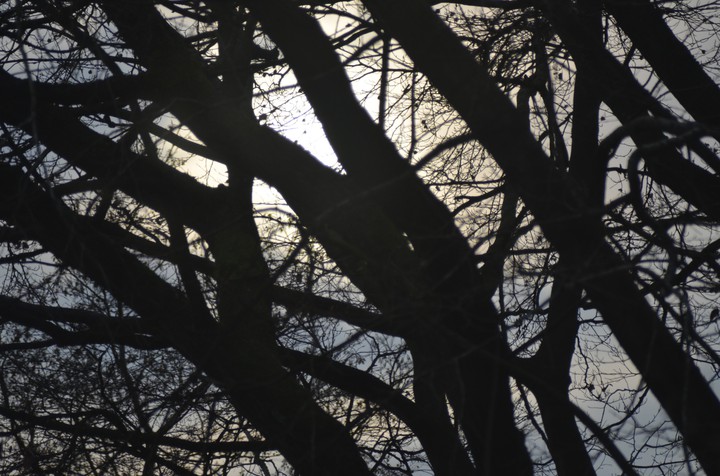 Winterwelt