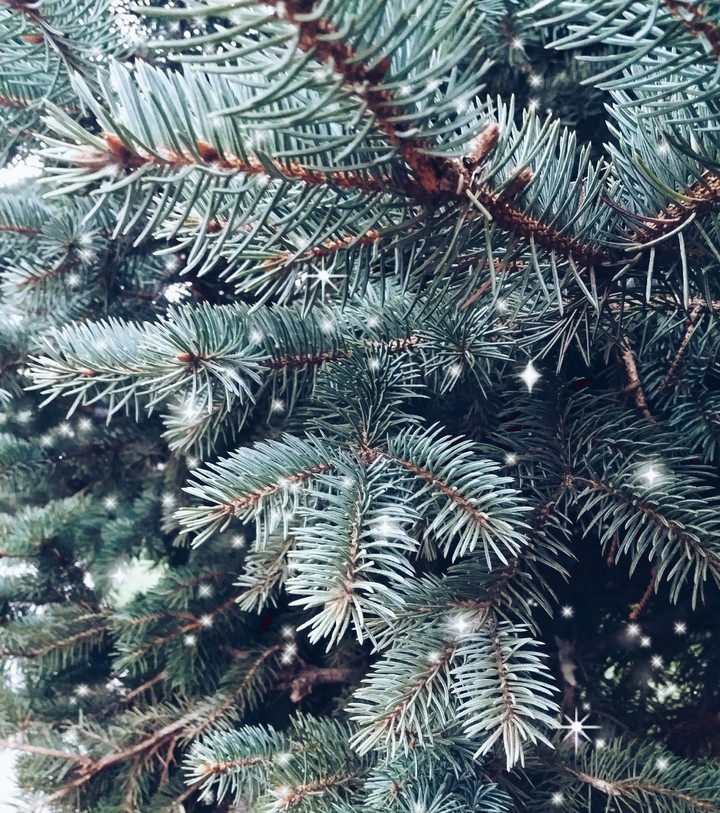 Christmastree