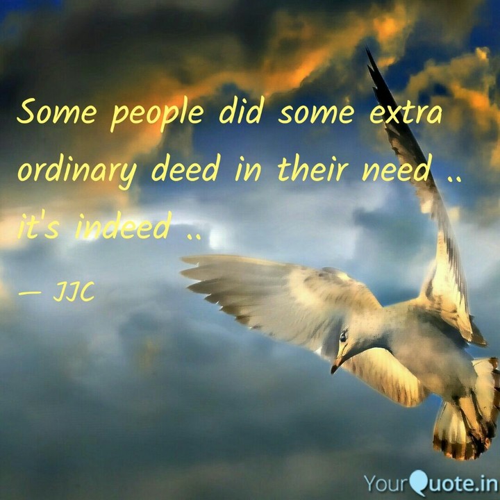 My Quote
