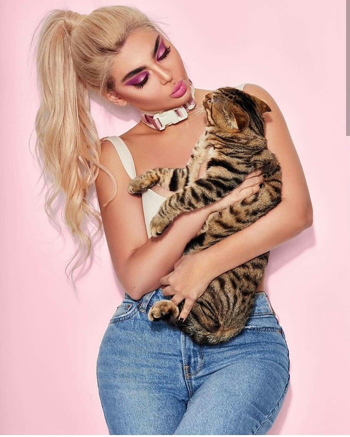 Lady cat